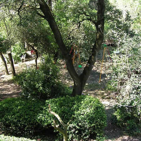 Euric Alaric Appartement